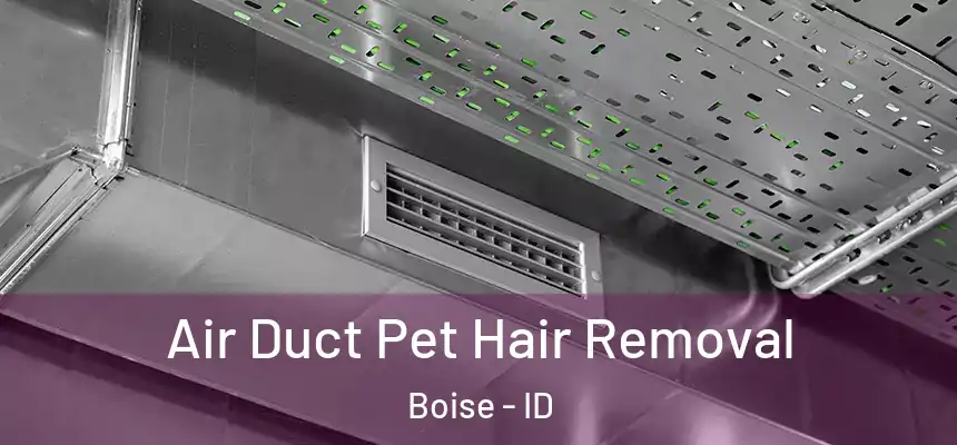 Air Duct Pet Hair Removal Boise - ID