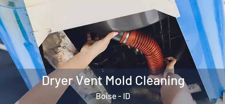 Dryer Vent Mold Cleaning Boise - ID