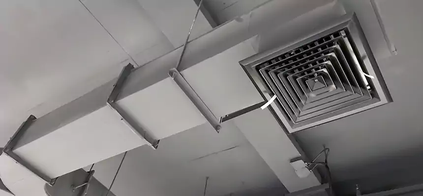 Restorative Allergy Relief Vent Cleaning – Coil, Blower & Housing Detail in Boise