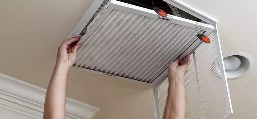Our Insect Removal from Air Ducts Services in Boise, ID