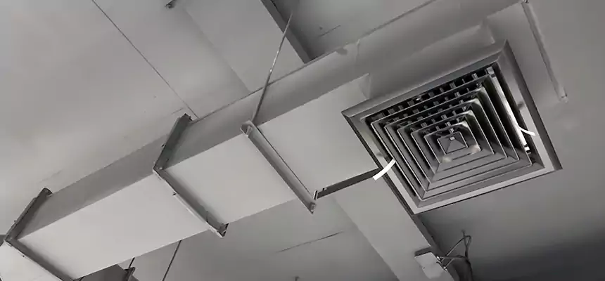 Our Rodent Droppings In Vents Services in Boise, ID