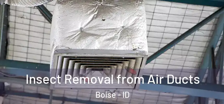 Insect Removal from Air Ducts Boise - ID