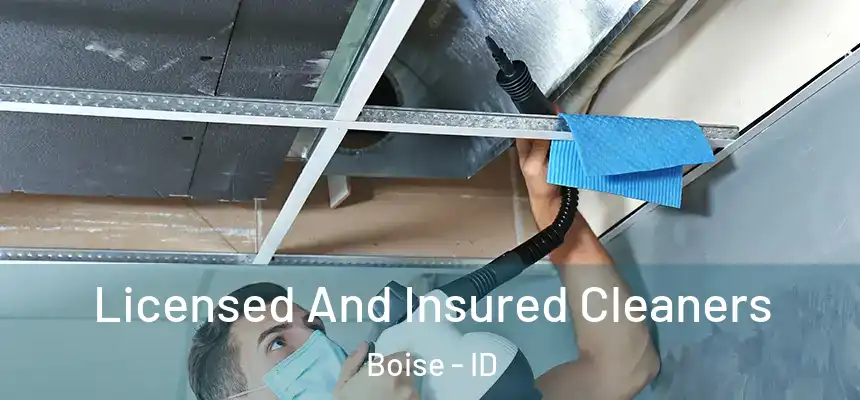 Licensed And Insured Cleaners Boise - ID