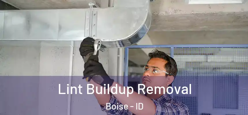 Lint Buildup Removal Boise - ID