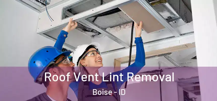 Roof Vent Lint Removal Boise - ID