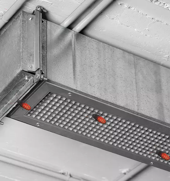 Affordable Insect Removal from Air Ducts in Boise, ID