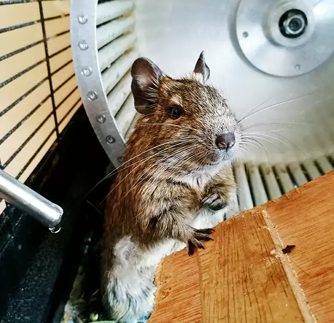 Why Homeowners & Businesses Trust Us Boise, ID