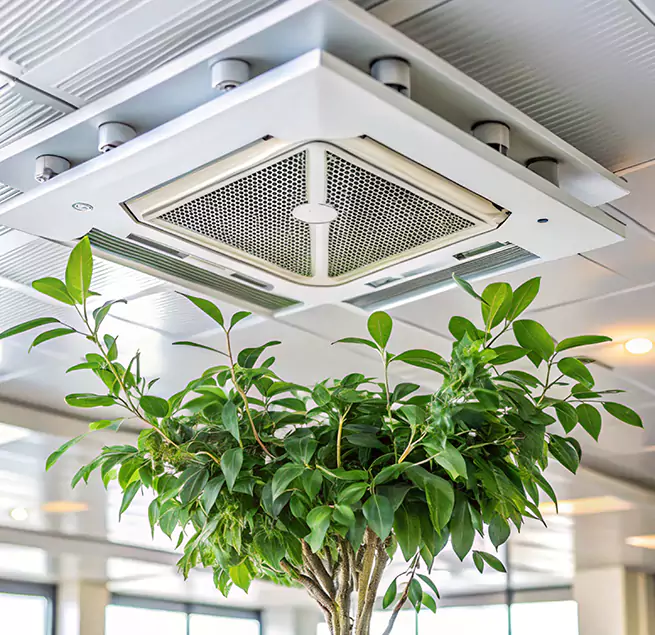 Why Homeowners & Businesses Trust Us in Boise, ID