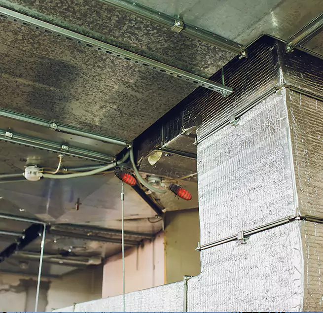 Why Homeowners & Businesses Trust Us Boise, ID?