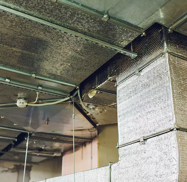 Why Homeowners & Businesses Trust Us in Boise, ID?